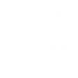 Logo for Distribution Solutions Group Inc