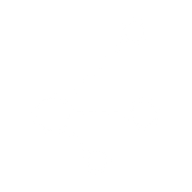 Logo for Distribution Solutions Group Inc