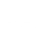 Logo for DSV