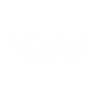 Logo for DSV