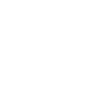 Logo for Reading International Inc