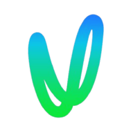 Logo for Vector Limited