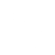 Logo for Schaeffler India Limited