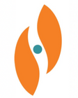 Logo for Stereotaxis Inc