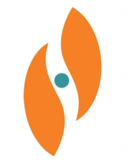 Logo for Stereotaxis Inc