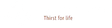 Logo for Berentzen-Gruppe Aktiengesellschaft