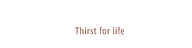 Logo for Berentzen-Gruppe Aktiengesellschaft