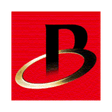 Logo for Bradespar