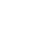 Logo for VRG SA