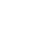 Logo for Shanghai Fosun Pharmaceutical Co Ltd