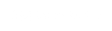 Logo for Risk Intelligence