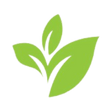 Logo for Cannara Biotech Inc