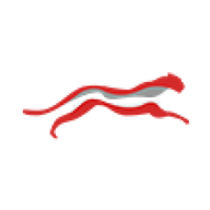 Logo for Cheetah Net Supply Chain Service Inc