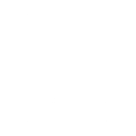 Logo for Lionsgate Studios Corp