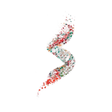 Logo for Nasus Pharma