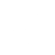 Logo for Teva Pharmaceutical Industries Limited