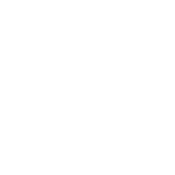 Logo for Teva Pharmaceutical Industries Limited