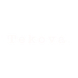 Logo for Tekova Oy
