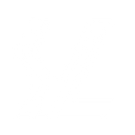 Logo for Shengyi Technology Co Ltd