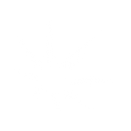 Logo for Valeura Energy Inc