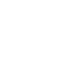 Logo for Pluribus Technologies Corp