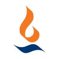 Logo for Max Financial Services Limited