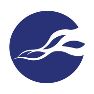 Logo for NCC Group plc