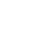 Logo for Nippon Paper Industries Co 