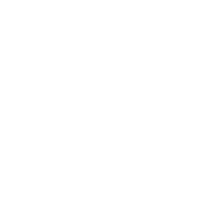 Logo for Latvian Forest Company