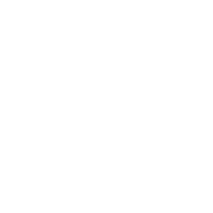 Logo for American Coastal Insurance Corporation