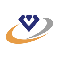 Logo for Vaibhav Global Limited