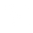 Logo for Service Corporation International