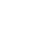 Logo for TruScreen Group Limited