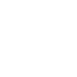 Logo for Racing Force S.P.A.