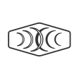 Logo for Raytelligence