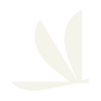 Logo for Volato Group Inc