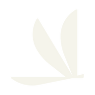 Logo for Volato Group Inc