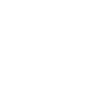 Logo for Central Asia Metals plc