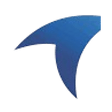 Logo for Raminfo