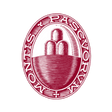 Logo for Banca Monte dei Paschi di Siena S.p.A.