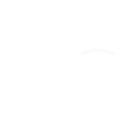Logo for Nvni Group Limited