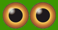 Logo for zooplus SE