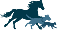 Logo for PetVivo Holdings Inc