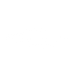 Logo for The Schiehallion Fund Limited