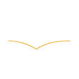 Logo for Deciphera Pharmaceuticals Inc