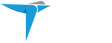 Logo for Terns Pharmaceuticals Inc