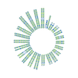Logo for Soleno Therapeutics Inc