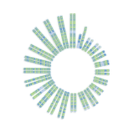 Logo for Soleno Therapeutics Inc