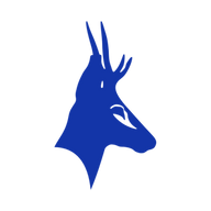 Logo for Tesoro Gold Ltd