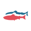 Logotype for Gigante Salmon